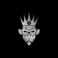 Notorious Financial logo - Similar company to Ffl Never Settle