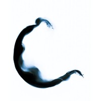 Chill Solutions logo - Similar company to Gw Reader