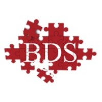 Business Development Solutions Pakistan logo - Similar company to Business Development Solutions