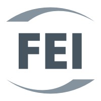FEI Group logo - Similar company to Bunnell Idea Group (Big)