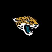 Jacksonville Jaguars logo - Similar company to Orlando Magic