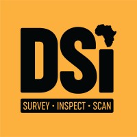 DSI logo - Similar company to Drone Force