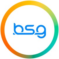 BSG Spain logo - Similar company to ✓ Nexeus Big Data