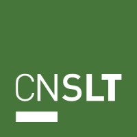 CNSLT logo - Similar company to Supeo