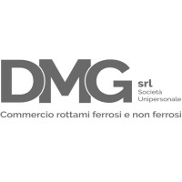 DMGSRL logo - Similar company to Delta Computer S.R.L.