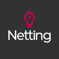 Netting logo - Similar company to Right For Every Task!