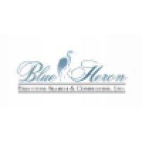 Blue Heron Executive Search and Consulting logo - Similar company to Blue Heron Capital, Llc