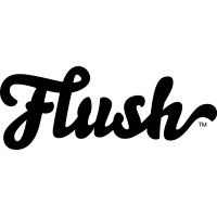 Flush logo - Similar company to Ai Navigator