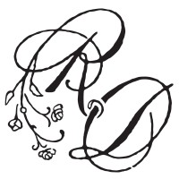 Rain Dance Vineyards logo - Similar company to Dusky Goose Winery