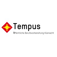 Tempus logo - Similar company to Immobutler