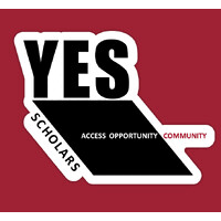 YES Scholars (Young Eisner Scholars) logo - Similar company to Young Eisner Scholars