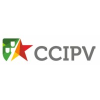 Ccipv - Chamber Of Commerce And Industry Portugal-Vietnam