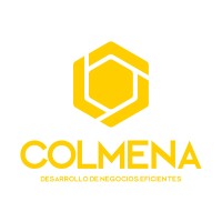 Colmena Desarrollo de Negocios Eficientes logo - Similar company to Digital Colmena