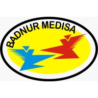 Badnur Medisa Group logo - Similar company to First Media Pk