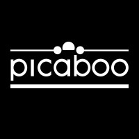 Picaboo logo - Similar company to Picaboo