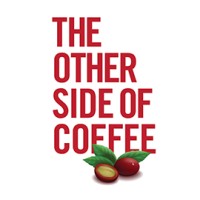 Other Side logo - Similar company to Teachinguide (Now Starweaver Analytics)