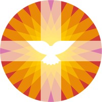 Protestantse Kerk in Nederland logo - Similar company to Donkey Mobile