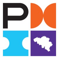 PMI Belgium Chapter logo - Similar company to Flow Technology Ltd
