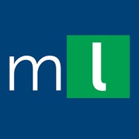 moneylab logo - Similar company to Selica Analytics