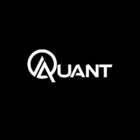 A-Quant logo - Similar company to Suvarchala Solutionzs
