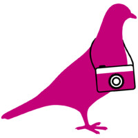 Sabine Scheer fotodesign logo - Similar company to Graphics It Bd