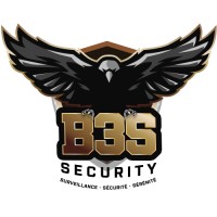 B3S SECURITY logo - Similar company to Jaguar Securite
