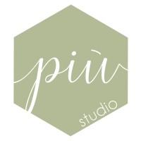 studio Più logo - Similar company to Van Helden Schoonmaakdiensten B.V.