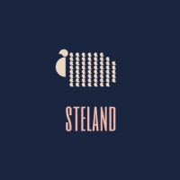 Steland Pty Ltd logo - Similar company to Cadi Development
