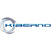 Kiberno logo - Similar company to Legendsoft