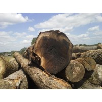 D'Hont Houtimport logo - Similar company to Invoicegreen Timber Trading
