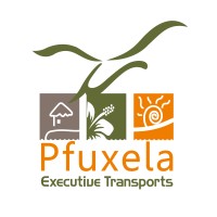 Pfuxela Executive Transports logo - Similar company to Workforce Group Limitada