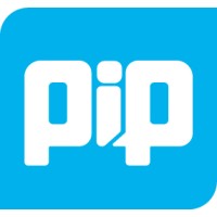 PIP Innovations logo - Similar company to Vdl Systems