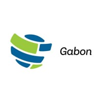IIA GABON logo - Similar company to Ix. Advisor
