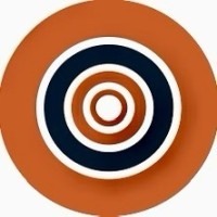 Iron Maple logo - Similar company to Pmco Incorporated