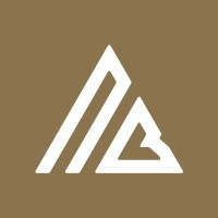 NORD Bolagstjänst AB logo - Similar company to Virtual Intelligence Vq Ab