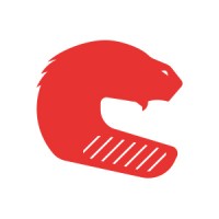 Castor Software logo - Similar company to Cloudadvies
