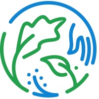 Diet Diaries logo - Similar company to Meditative Touch