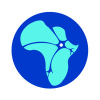 Center For African Leadership Development