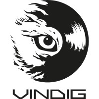 Vinyl Digital logo - Similar company to Ffi-Verlag
