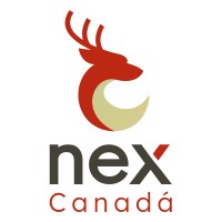 Nex Canada logo - Similar company to Swapps