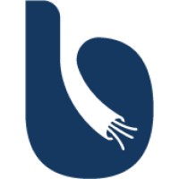 Bridge Wiring logo - Similar company to Blue Noda