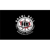 BrawlBall Official logo - Similar company to Kart32
