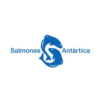 Salmones Antartica S.A. logo - Similar company to Blumar Usa