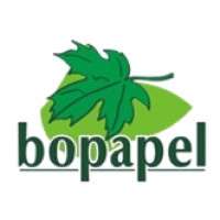 Bopapel logo - Similar company to Dintex