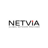 Netvia logo - Similar company to Dutchmsp