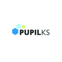 Pupil Ks logo - Similar company to Digital Reality Corp