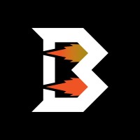 BOOST Social Agency logo - Similar company to Vaultmind