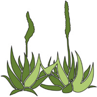 Mioty Voajanahary sarl logo - Similar company to Alomac