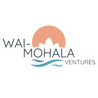 Wai Mohala Ventures logo - Similar company to Fourthwave.Io