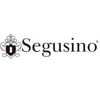 Segusino MX logo - Similar company to Mcg De México